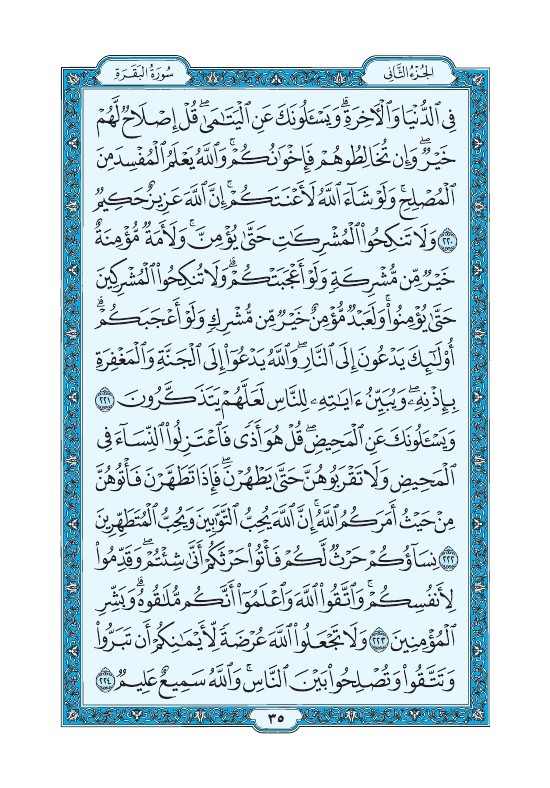 Picture4.jpg